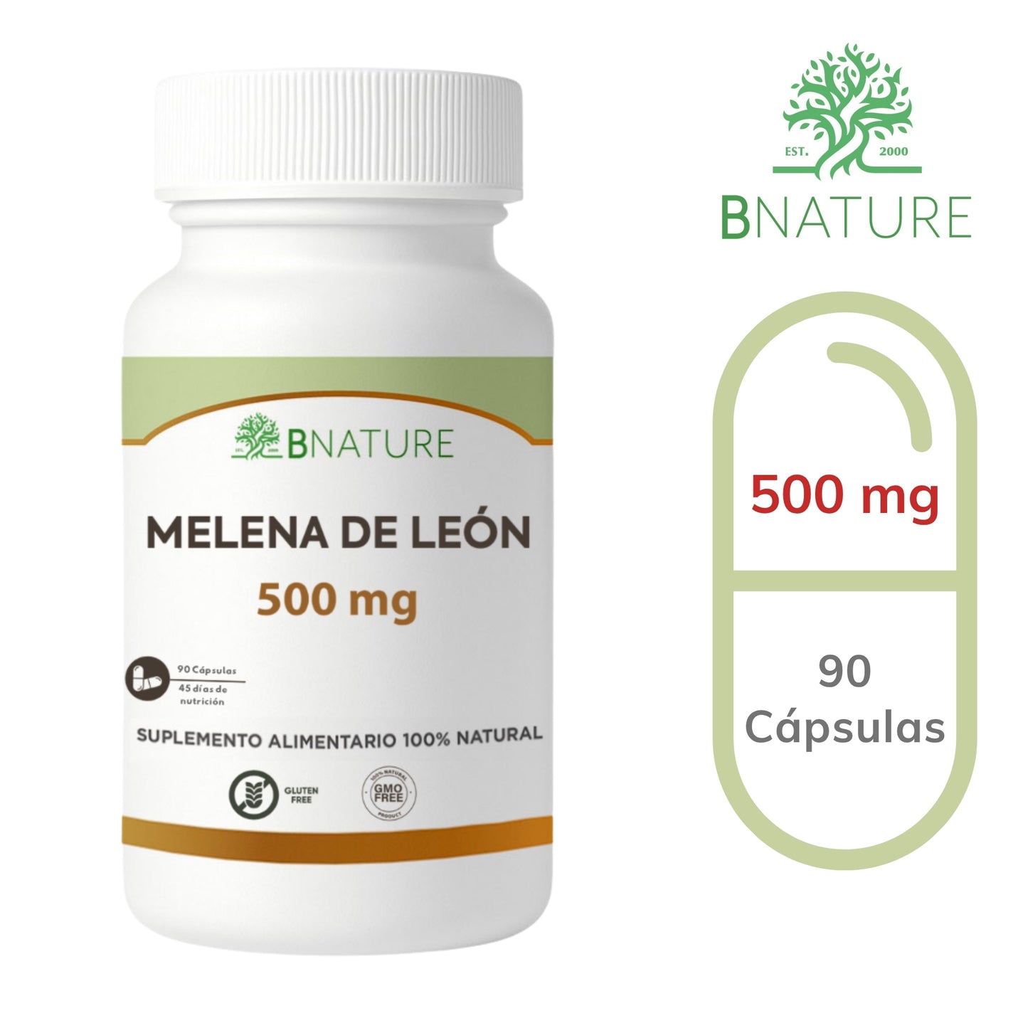 Melena de León 500 mg - Hongos Funcionales | 90 Cápsulas