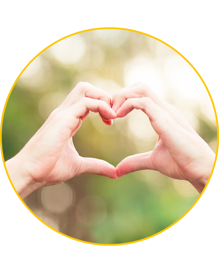 Salud Cardiovascular