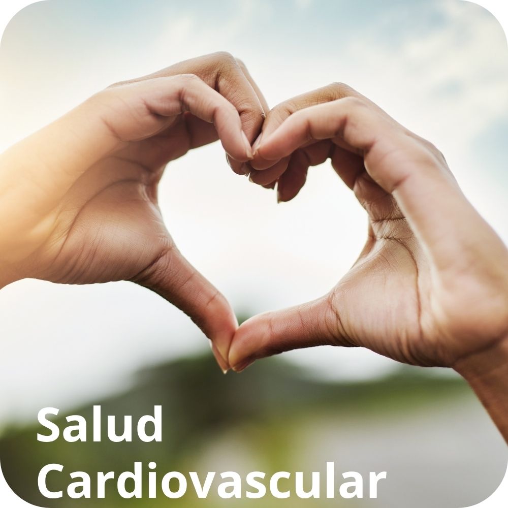 Salud Cardiovascular