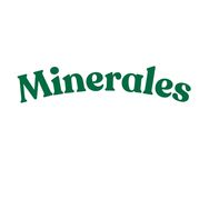 Vitaminas y Minerales