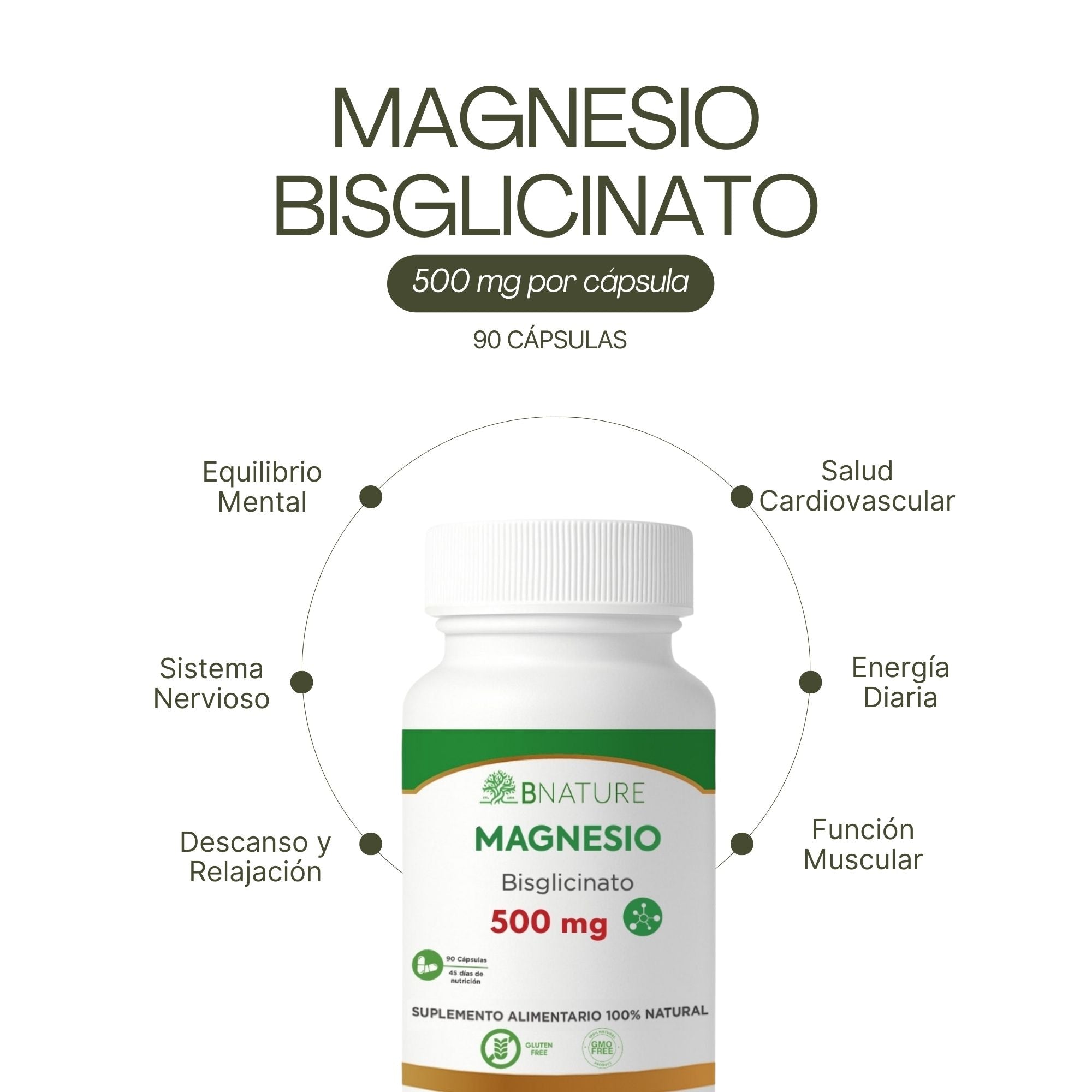 Bisglicinato de Magnesio 500 Mg