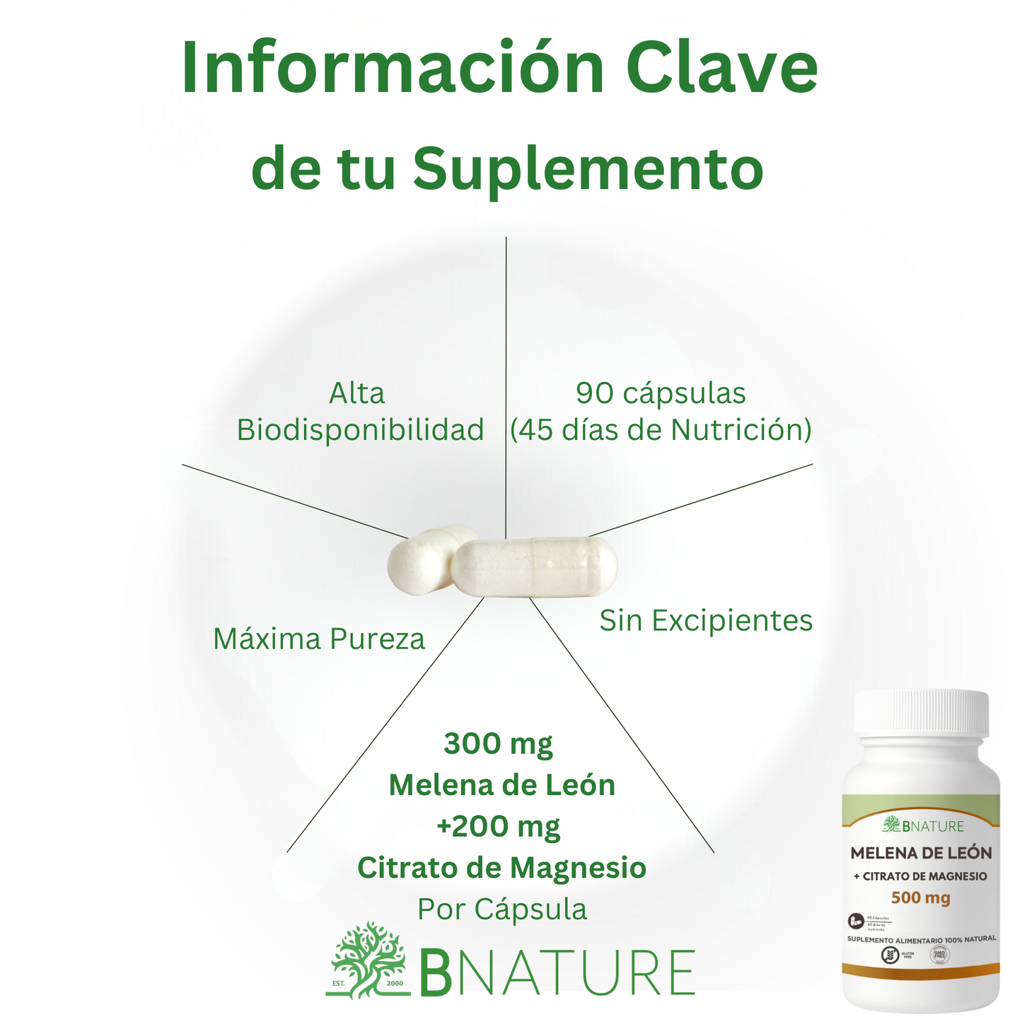 Melena de León + Citrato de Magnesio