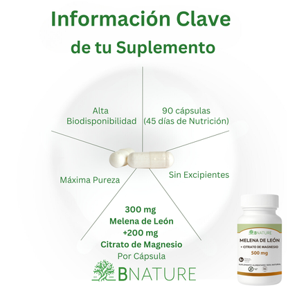 Melena de León + Citrato de Magnesio