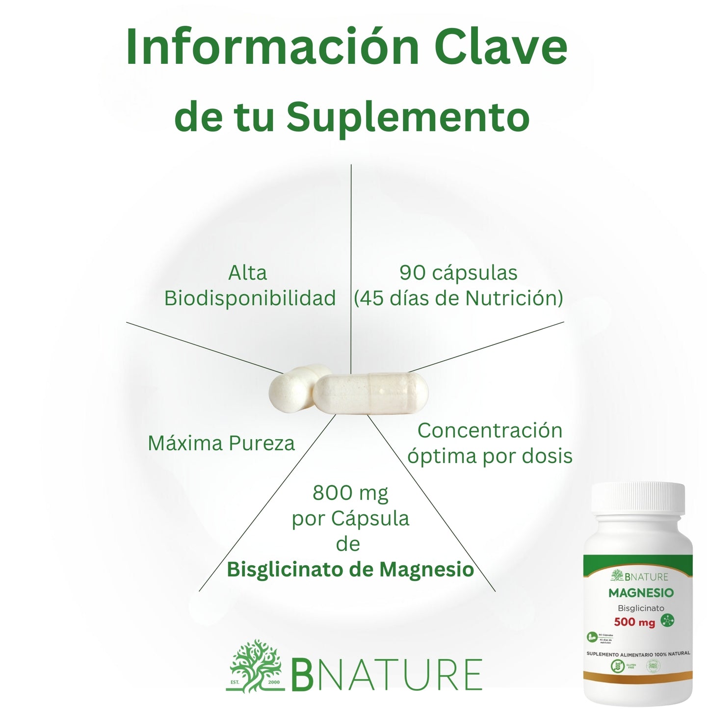 Bisglicinato de Magnesio 500 Mg