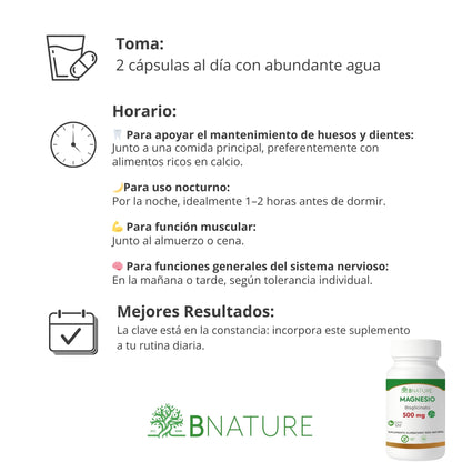 Bisglicinato de Magnesio 500 Mg