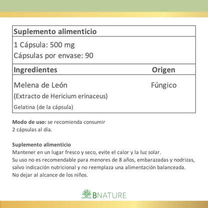 Melena de León 500 mg - Hongos Funcionales | 90 Cápsulas