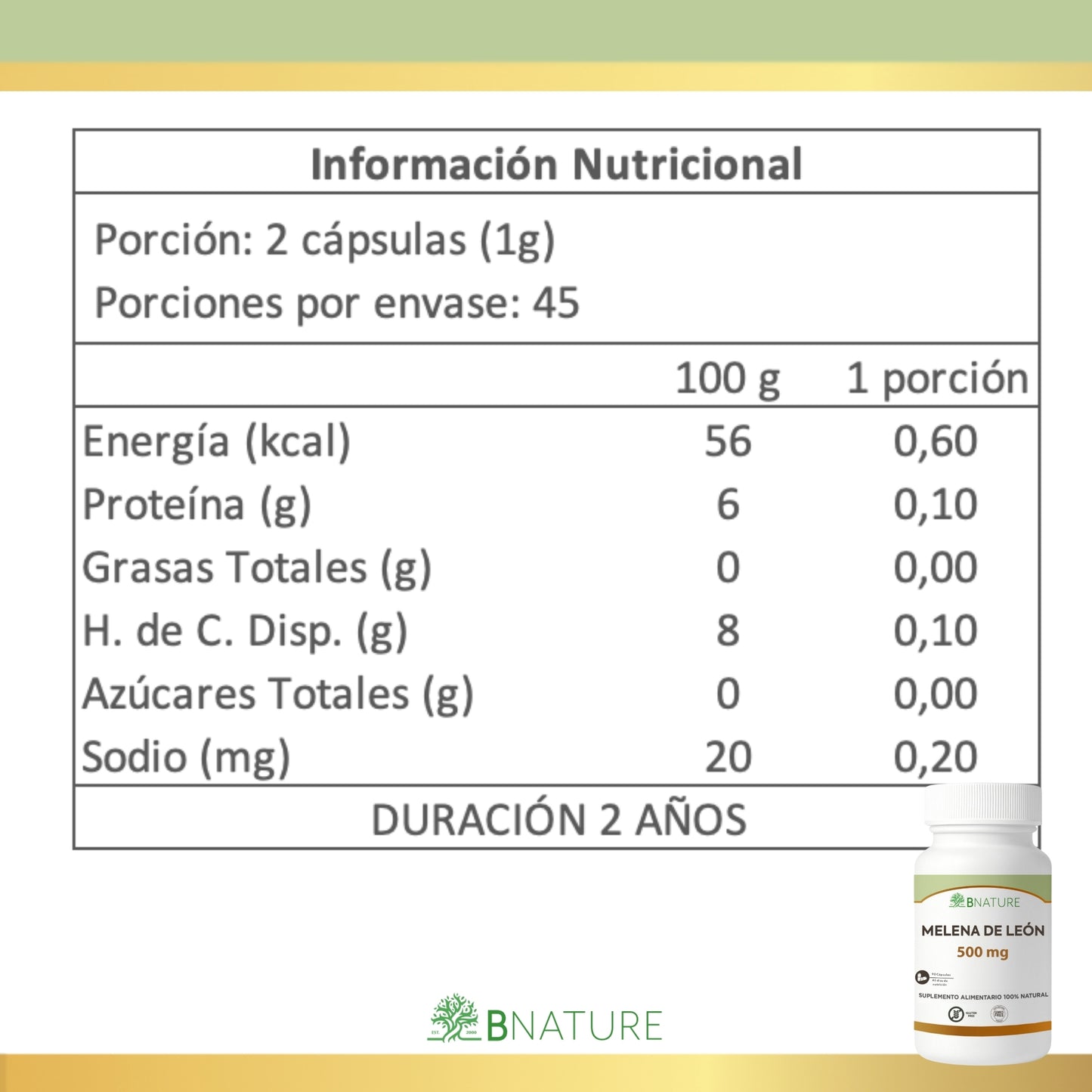 Melena de León 500 mg - Hongos Funcionales | 90 Cápsulas