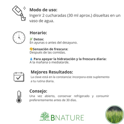 Clorofila Liquida 1 Litro